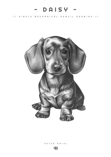 DAISY