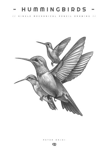 HUMMINGBIRDS